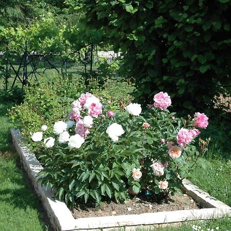 Le Jardin de Roses DOMINIQUE LOREAU Saint-Bonnet-de-Mure Extérieur photo