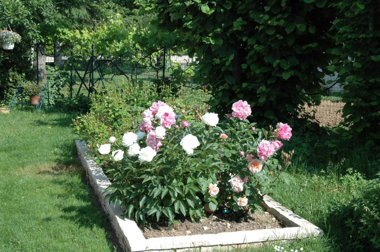 Le Jardin de Roses DOMINIQUE LOREAU Saint-Bonnet-de-Mure Extérieur photo